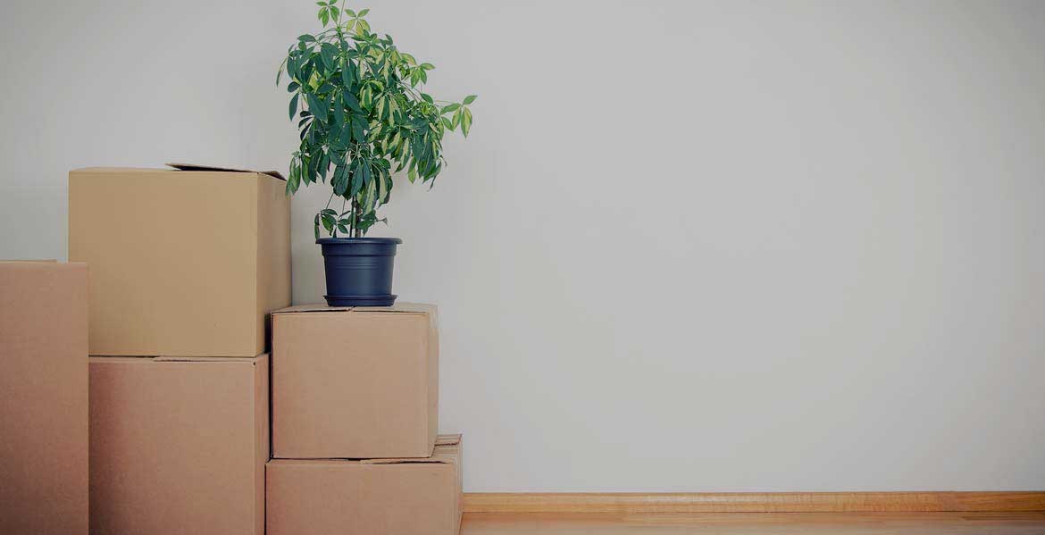 Moving